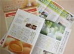 冊子の写真